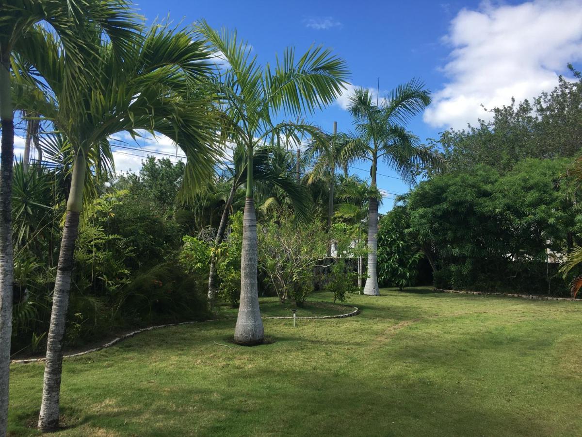 Almond Tree Hotel Resort 库罗扎 外观 照片