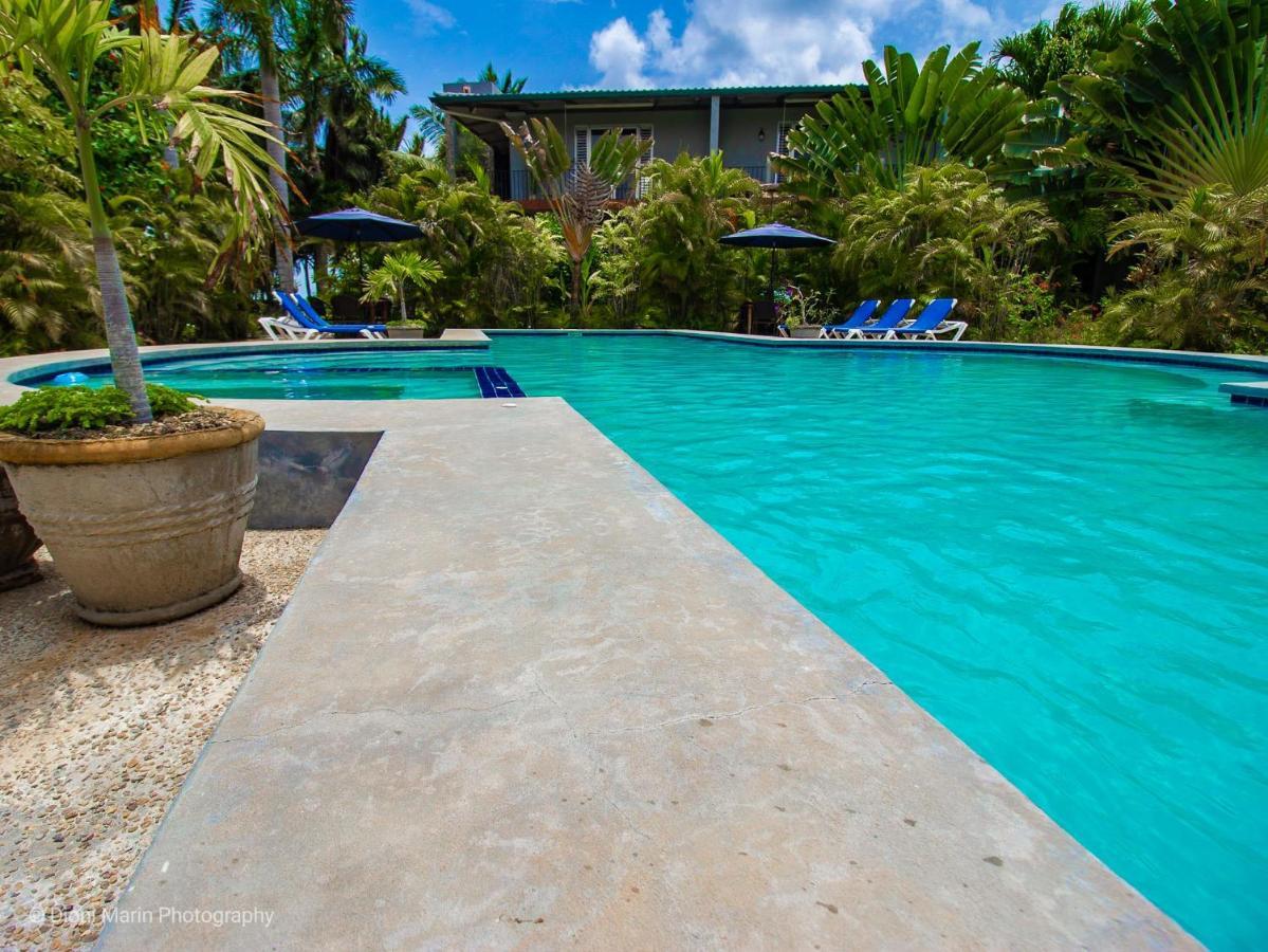 Almond Tree Hotel Resort 库罗扎 外观 照片