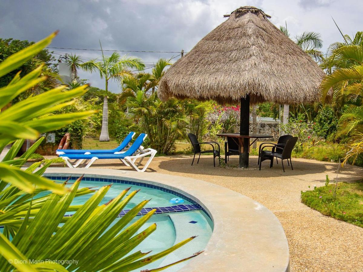 Almond Tree Hotel Resort 库罗扎 外观 照片