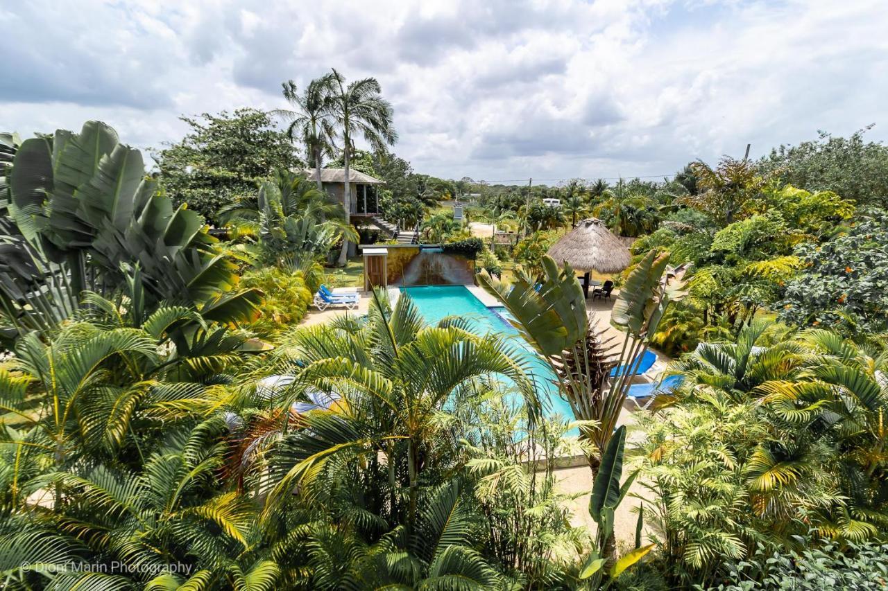Almond Tree Hotel Resort 库罗扎 外观 照片