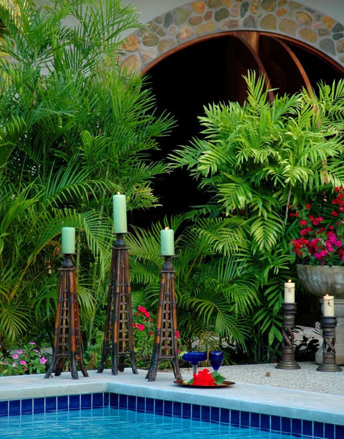 Almond Tree Hotel Resort 库罗扎 外观 照片
