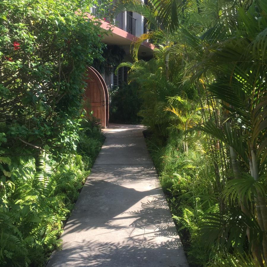 Almond Tree Hotel Resort 库罗扎 外观 照片