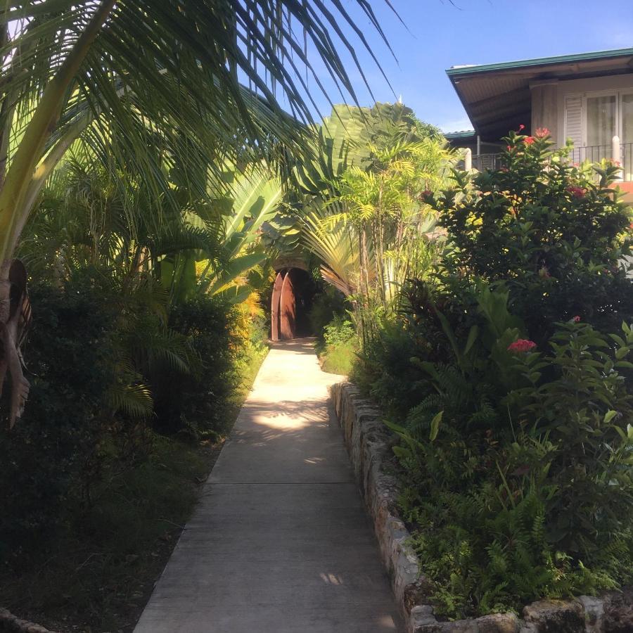 Almond Tree Hotel Resort 库罗扎 外观 照片
