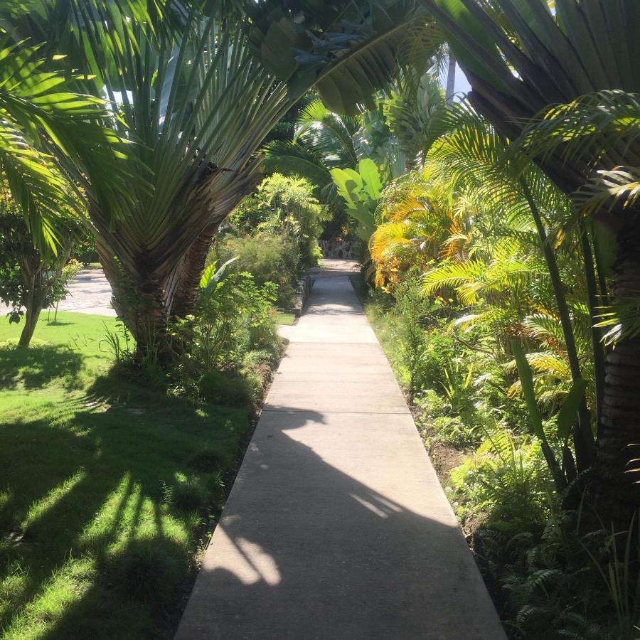 Almond Tree Hotel Resort 库罗扎 外观 照片
