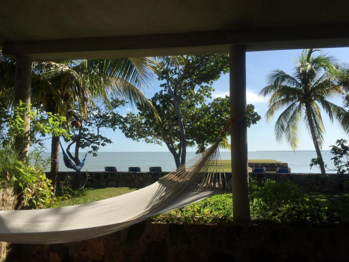 Almond Tree Hotel Resort 库罗扎 外观 照片