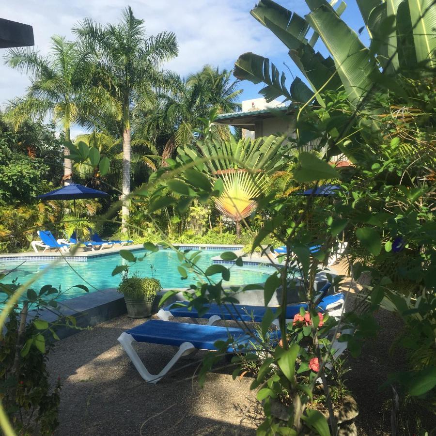 Almond Tree Hotel Resort 库罗扎 外观 照片